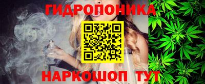 амф Камышлов